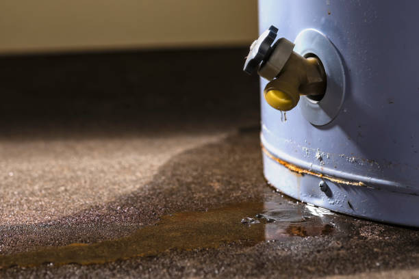 Best Sewage cleanup and water damage restoration  in Princess Anne, MD