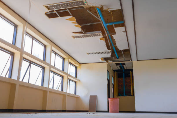 Best Water damage contractors near me  in Princess Anne, MD
