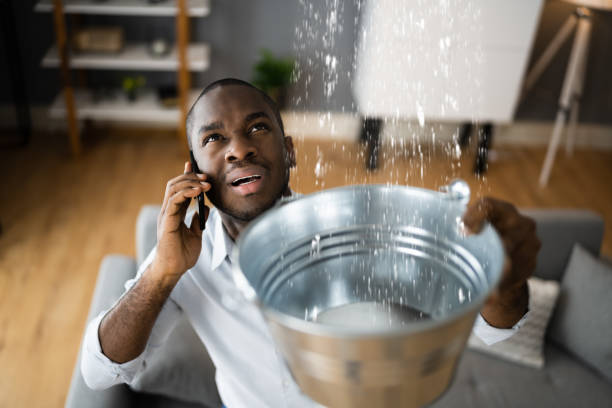 Best Carpet water damage restoration  in Princess Anne, MD