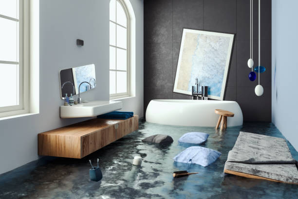 Reliable Princess Anne, MD Water damage restoration Solutions