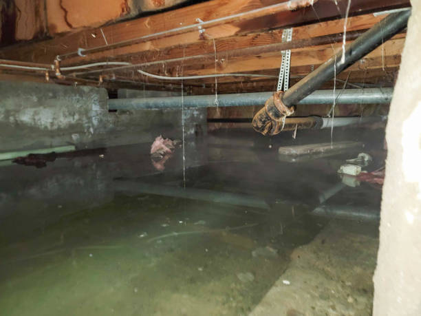 Best Ceiling water damage repair  in Princess Anne, MD