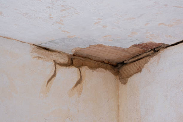 Best Water damage contractors near me  in Princess Anne, MD