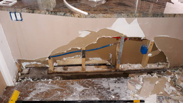 Best Local water damage restoration  in Princess Anne, MD