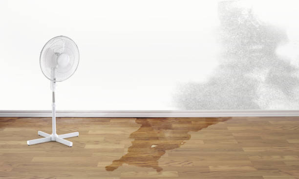 Best Fire Damage Restoration  in Princess Anne, MD