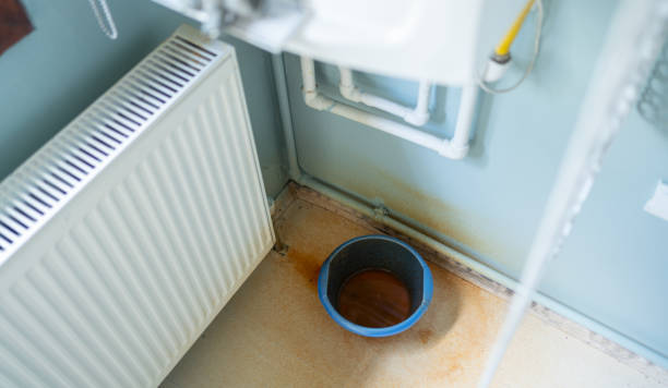 Best Mold removal after water damage  in Princess Anne, MD