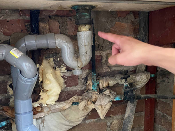 Best Water damage restoration specialists  in Princess Anne, MD