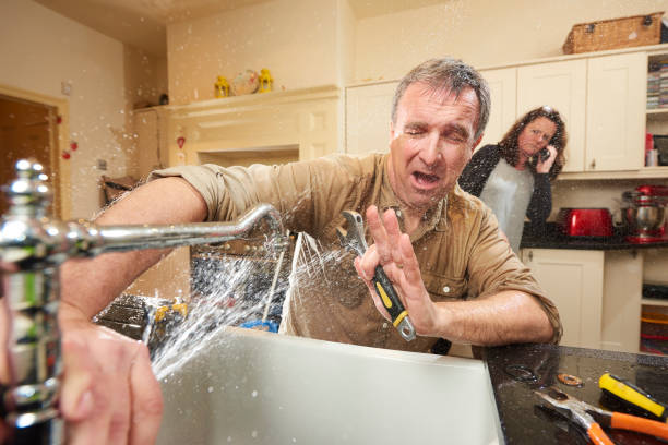 Best Local water damage restoration  in Princess Anne, MD